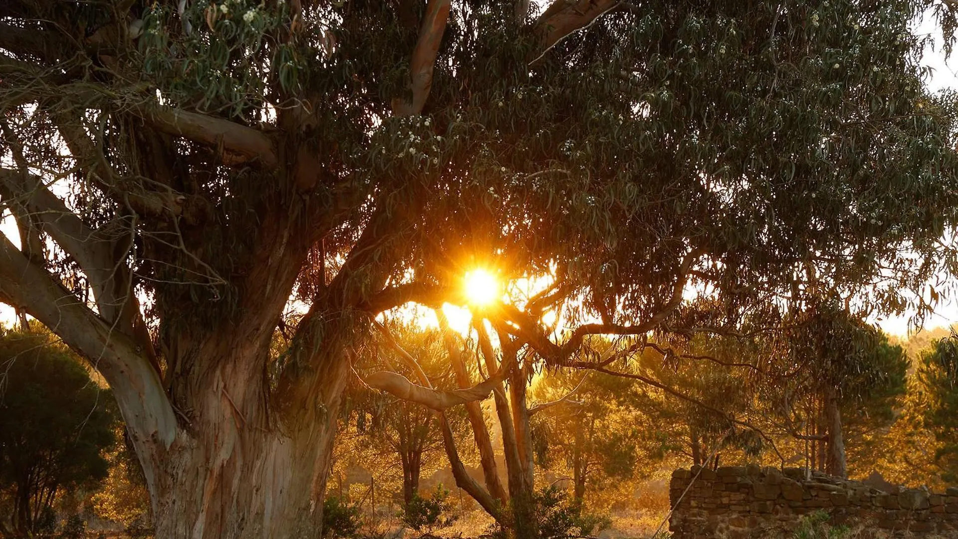 אלג'זור Praia Do Canal Nature Retreat - Small Luxury Hotels Of The World